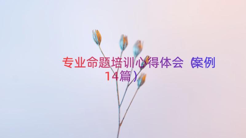 专业命题培训心得体会（案例14篇）