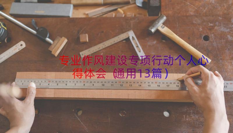 专业作风建设专项行动个人心得体会（通用13篇）