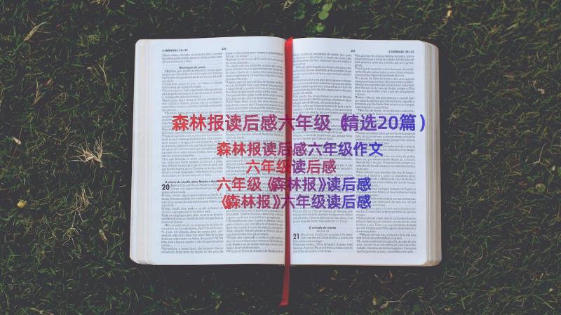 森林报读后感六年级（精选20篇）