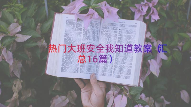 热门大班安全我知道教案（汇总16篇）