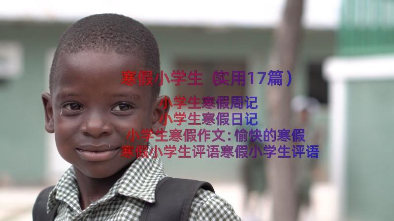 寒假小学生（实用17篇）