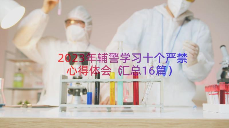 2023年辅警学习十个严禁心得体会（汇总16篇）