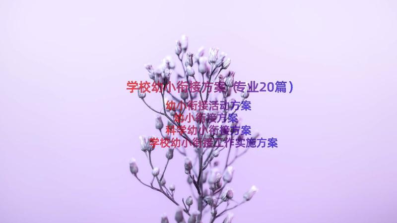 学校幼小衔接方案（专业20篇）