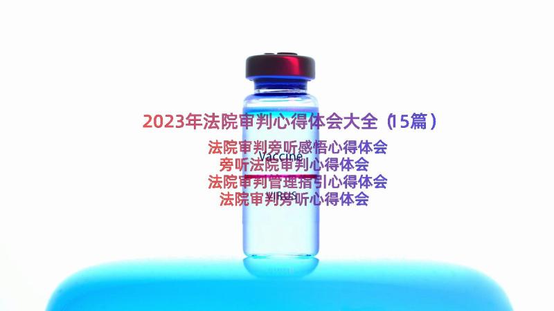 2023年法院审判心得体会大全（15篇）