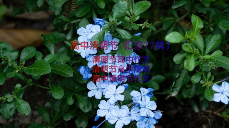 高中清明节（汇总17篇）