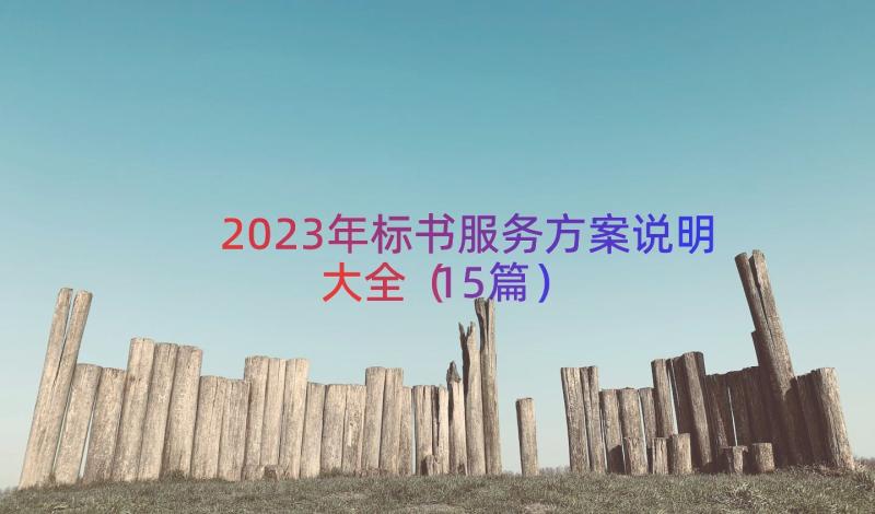 2023年标书服务方案说明大全（15篇）