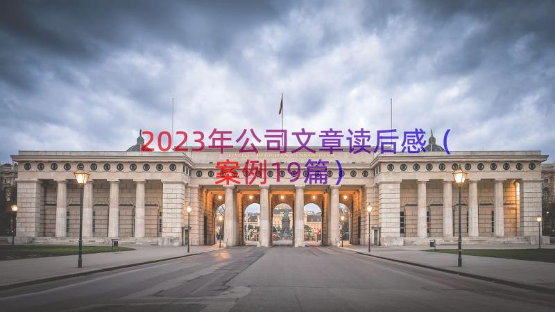 2023年公司文章读后感（案例19篇）