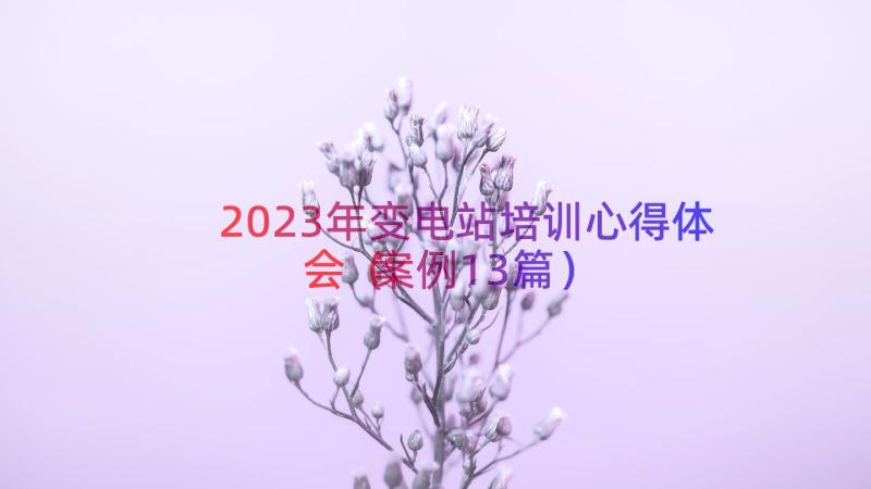 2023年变电站培训心得体会（案例13篇）