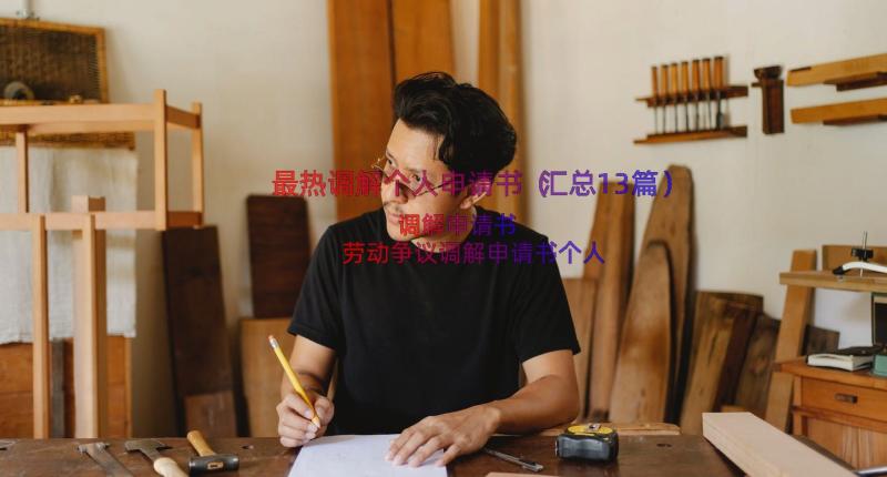 最热调解个人申请书（汇总13篇）