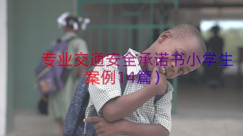 专业交通安全承诺书小学生（案例14篇）