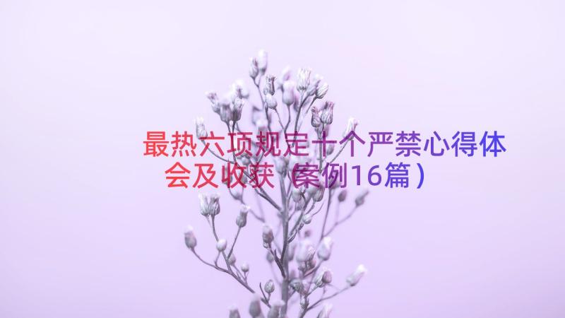 最热六项规定十个严禁心得体会及收获（案例16篇）