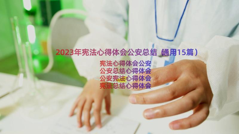 2023年宪法心得体会公安总结（通用15篇）