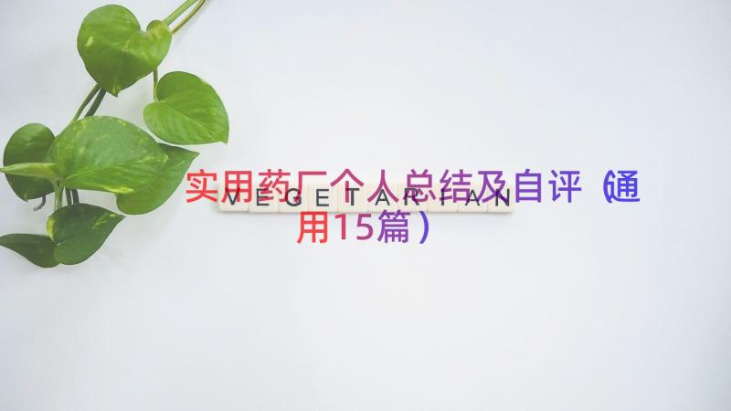 实用药厂个人总结及自评（通用15篇）