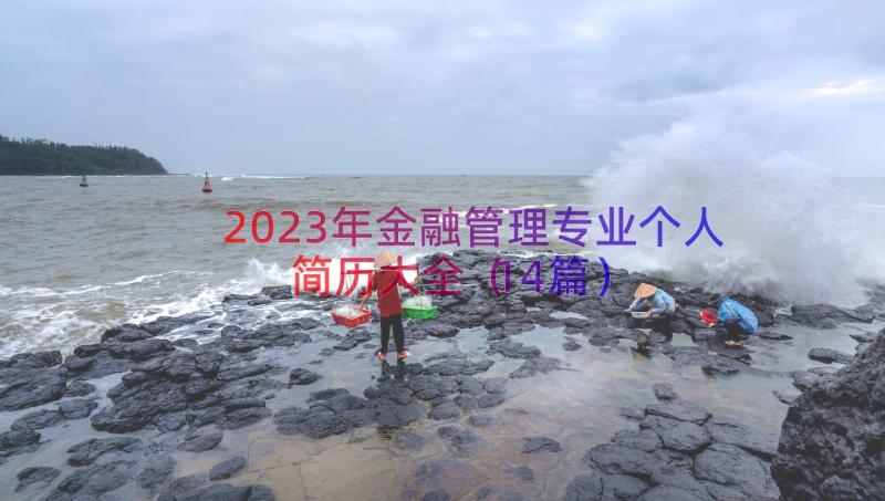 2023年金融管理专业个人简历大全（14篇）