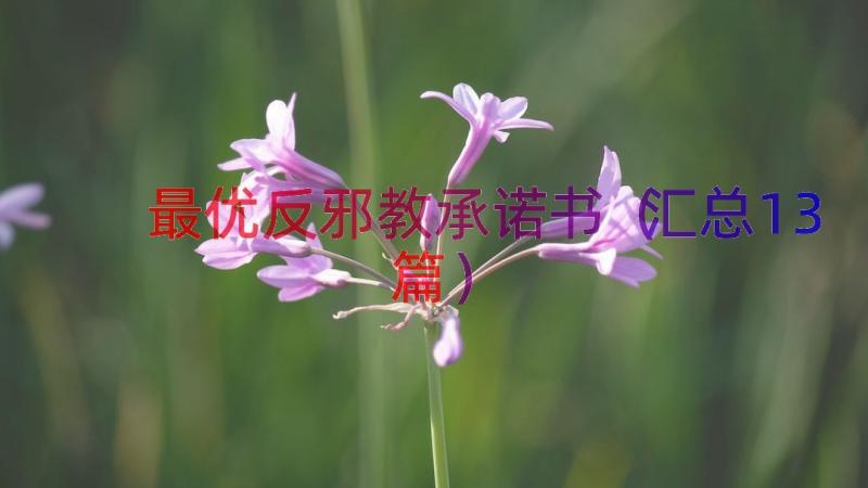 最优反邪教承诺书（汇总13篇）