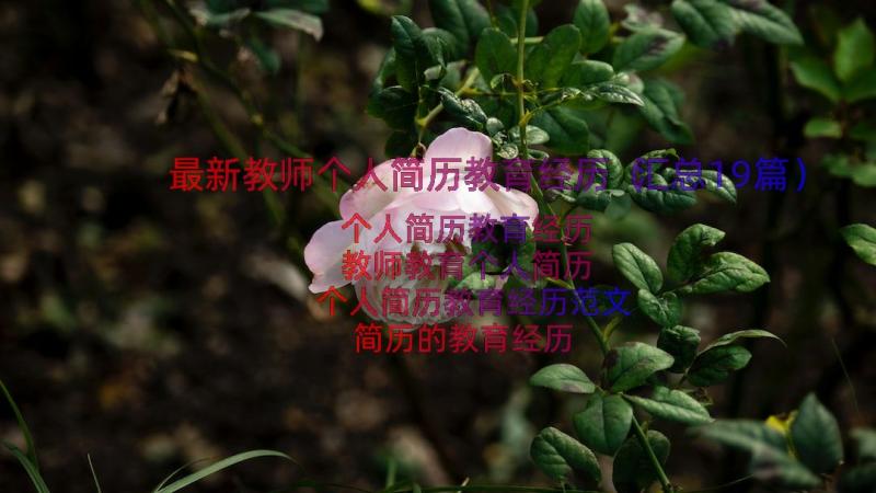 最新教师个人简历教育经历（汇总19篇）