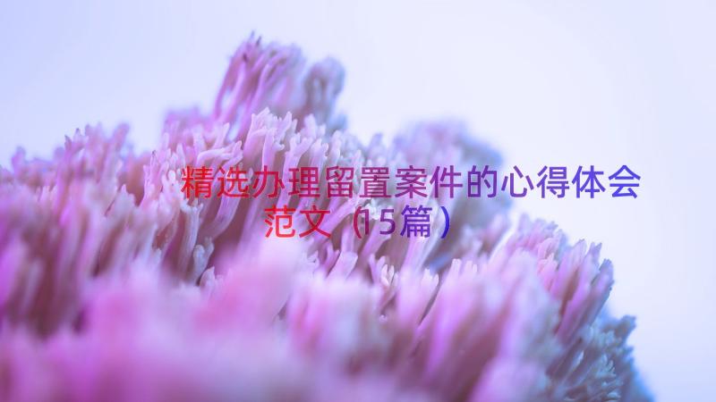 精选办理留置案件的心得体会范文（15篇）