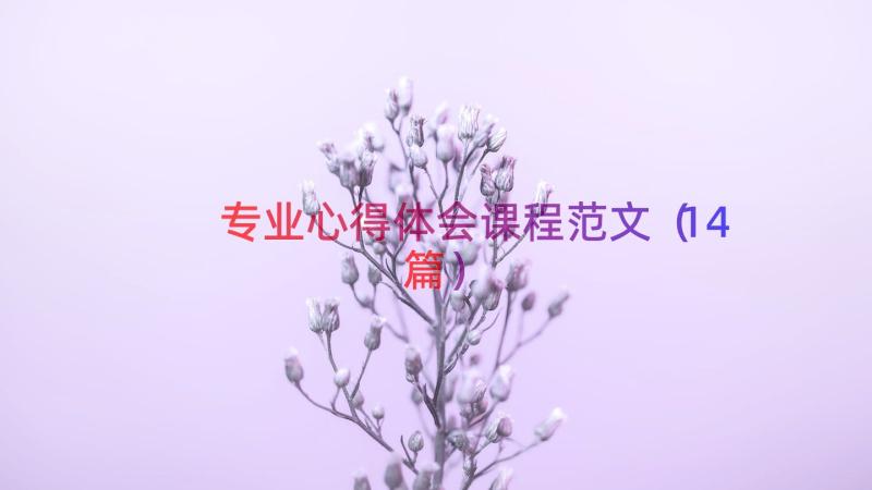 专业心得体会课程范文（14篇）