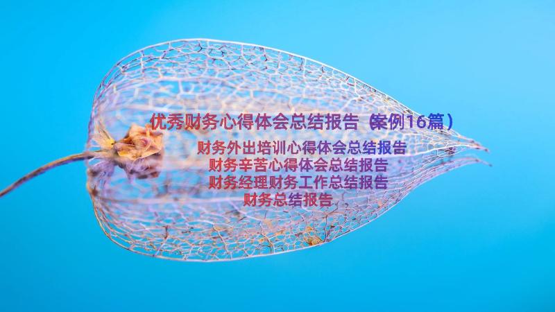 优秀财务心得体会总结报告（案例16篇）