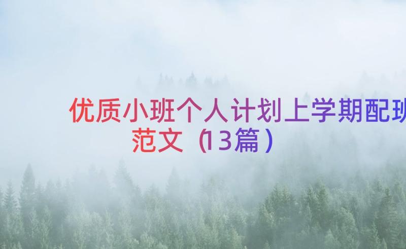 优质小班个人计划上学期配班范文（13篇）