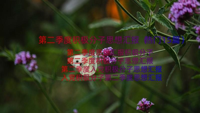 第二季度积极分子思想汇报（热门15篇）