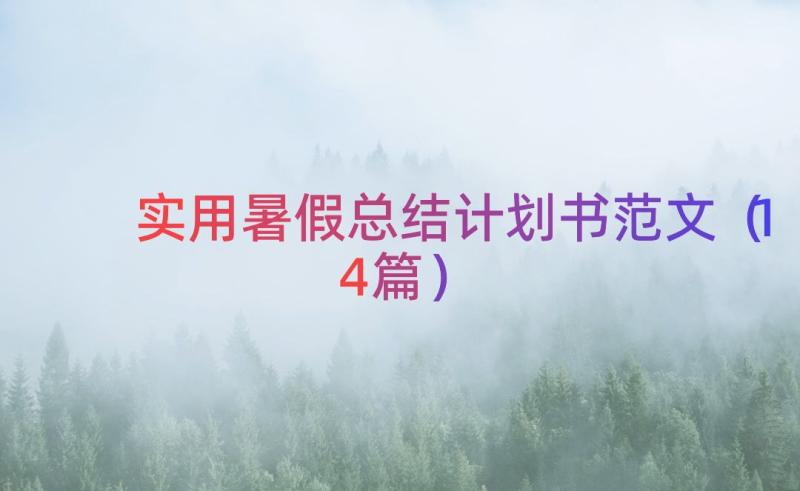 实用暑假总结计划书范文（14篇）