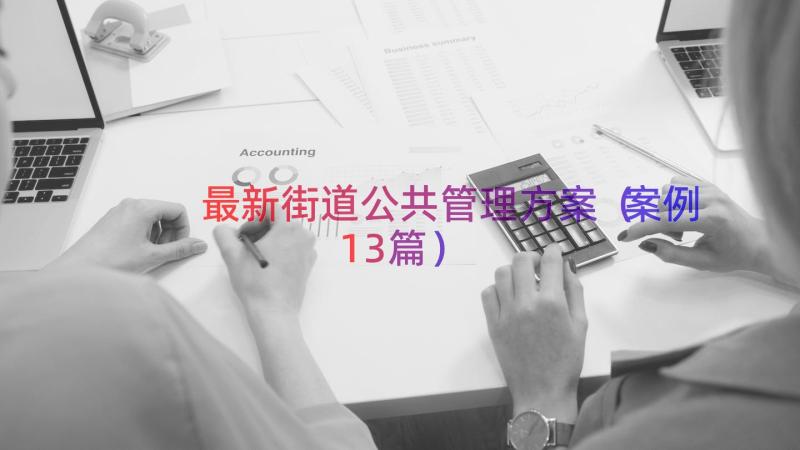 最新街道公共管理方案（案例13篇）