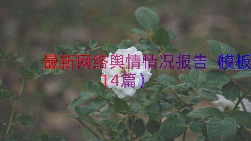 最新网络舆情情况报告（模板14篇）