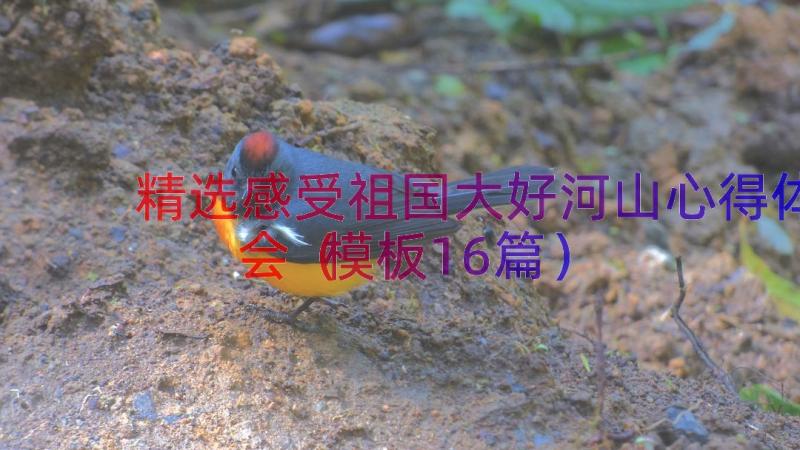 精选感受祖国大好河山心得体会（模板16篇）