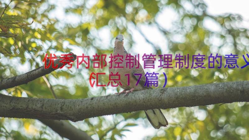 优秀内部控制管理制度的意义（汇总17篇）