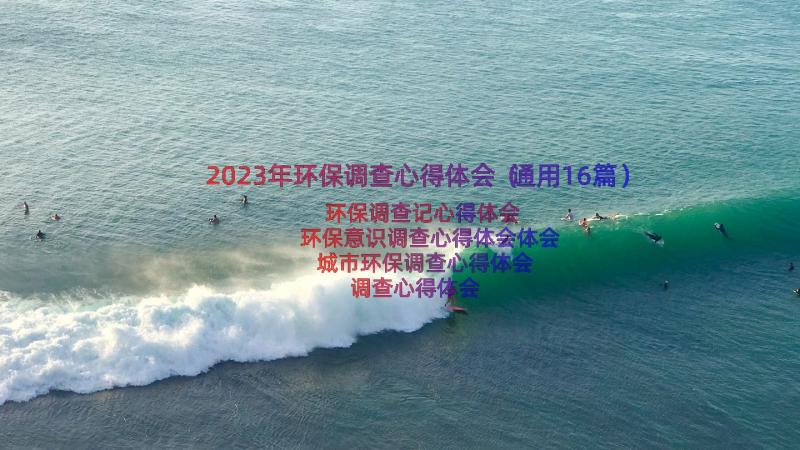 2023年环保调查心得体会（通用16篇）