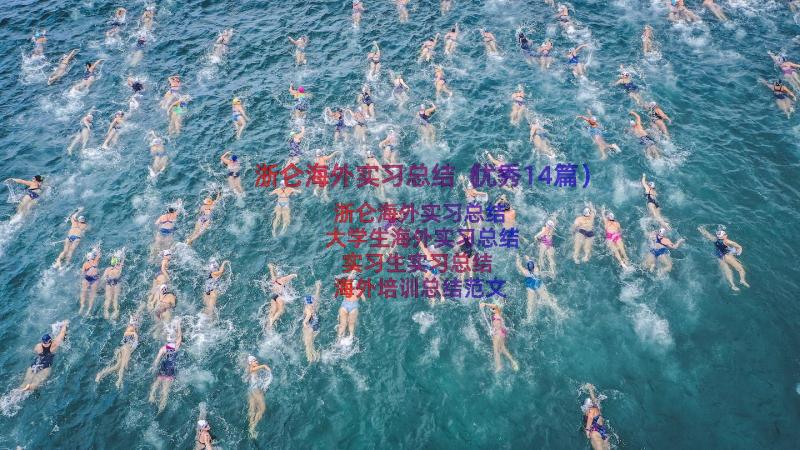 浙仑海外实习总结（优秀14篇）