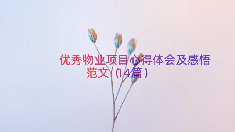 优秀物业项目心得体会及感悟范文（14篇）