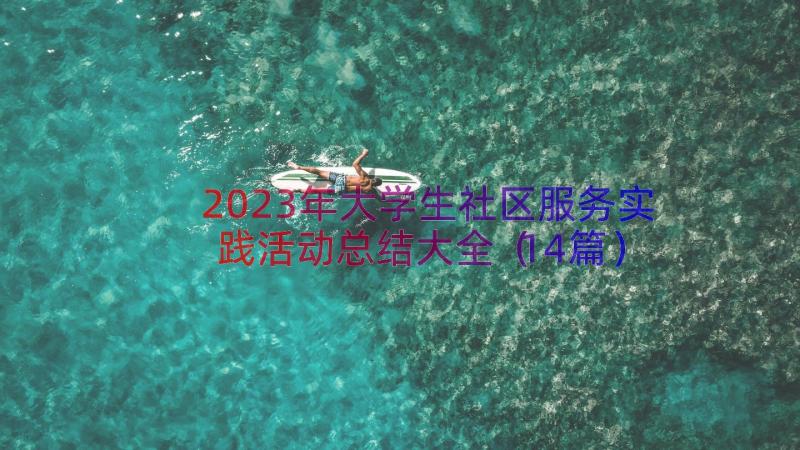 2023年大学生社区服务实践活动总结大全（14篇）