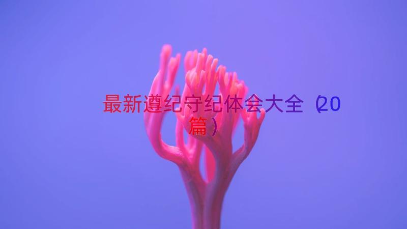 最新遵纪守纪体会大全（20篇）