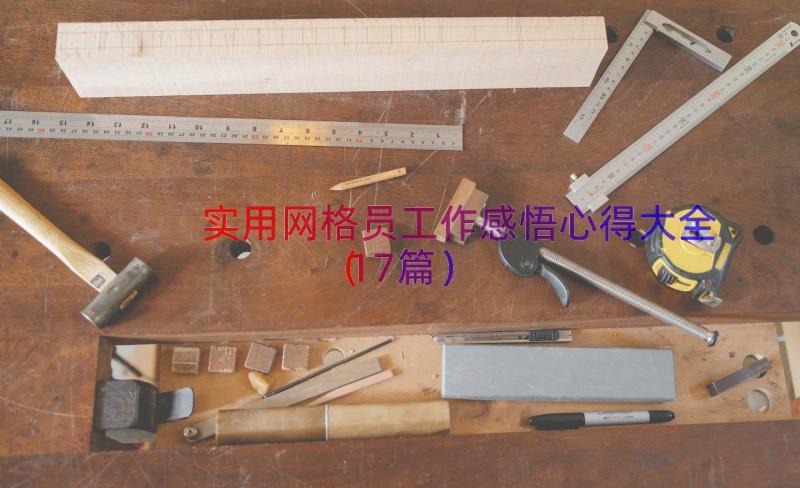 实用网格员工作感悟心得大全（17篇）