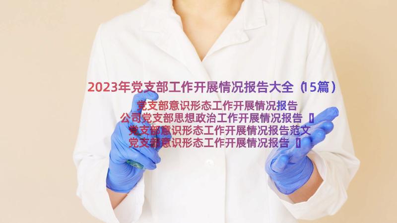 2023年党支部工作开展情况报告大全（15篇）