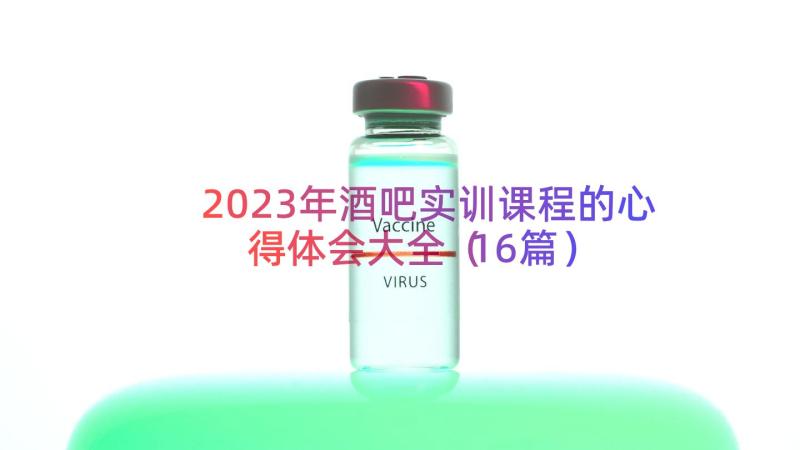 2023年酒吧实训课程的心得体会大全（16篇）