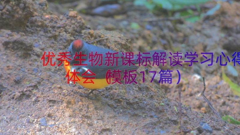 优秀生物新课标解读学习心得体会（模板17篇）