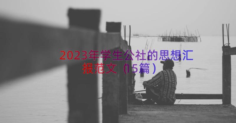 2023年学生公社的思想汇报范文（15篇）