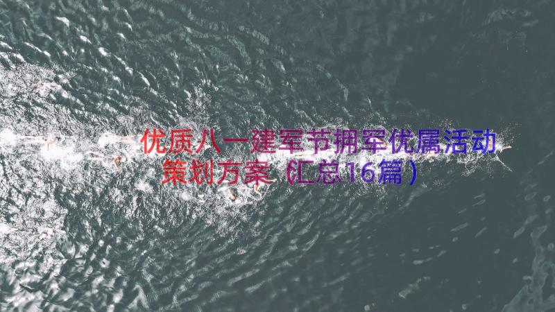 优质八一建军节拥军优属活动策划方案（汇总16篇）