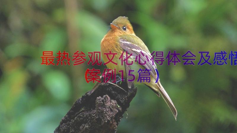 最热参观文化心得体会及感悟（案例15篇）