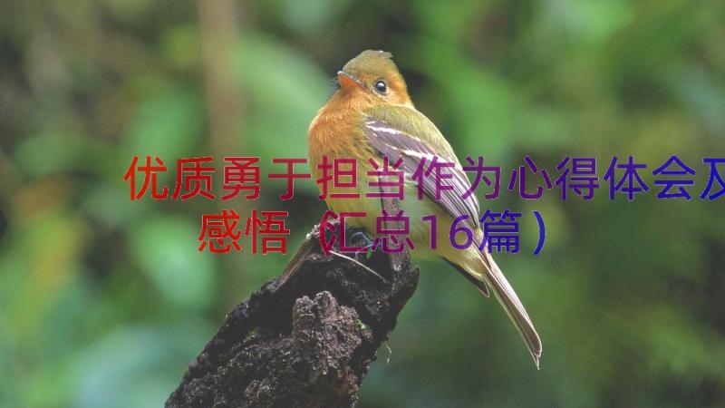 优质勇于担当作为心得体会及感悟（汇总16篇）