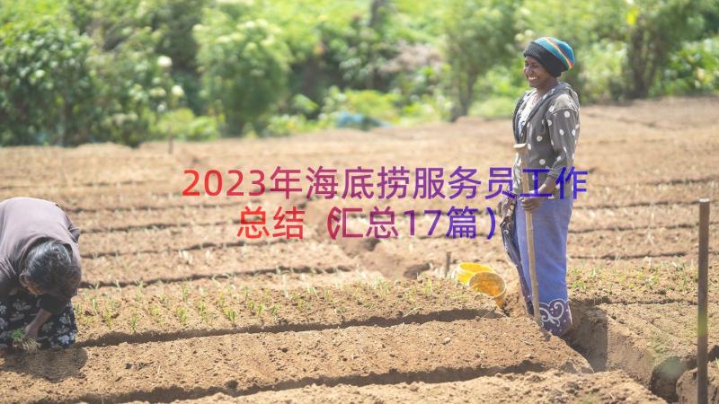 2023年海底捞服务员工作总结（汇总17篇）