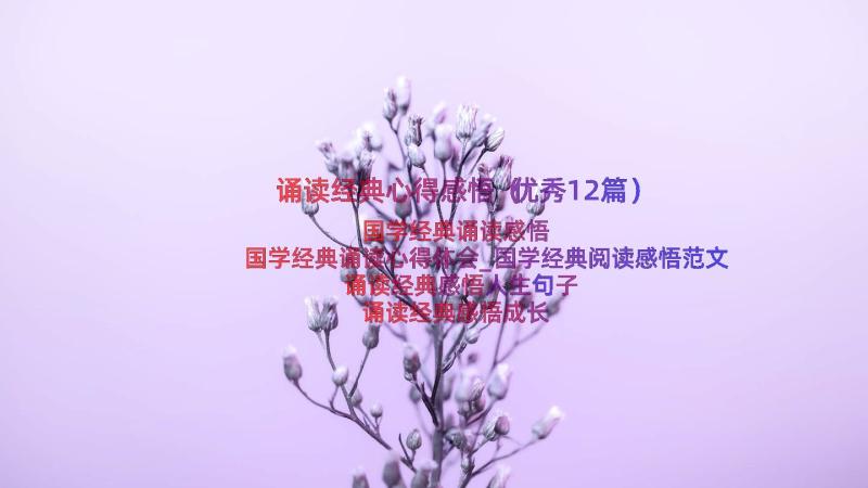 诵读经典心得感悟（优秀12篇）