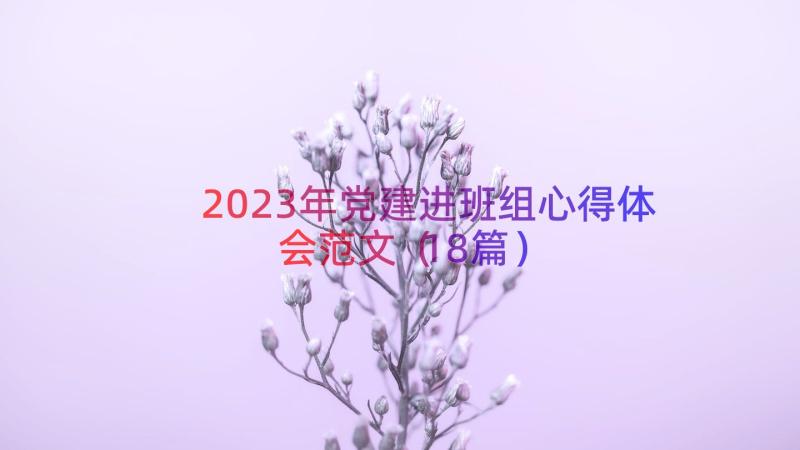 2023年党建进班组心得体会范文（18篇）