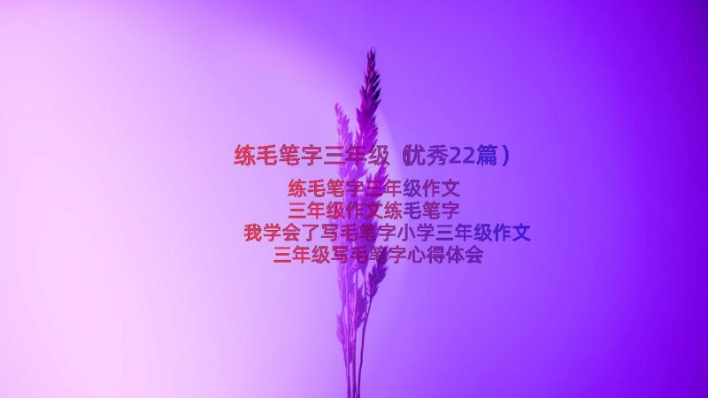 练毛笔字三年级（优秀22篇）