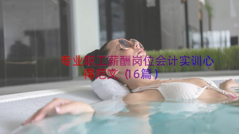 专业职工薪酬岗位会计实训心得范文（16篇）