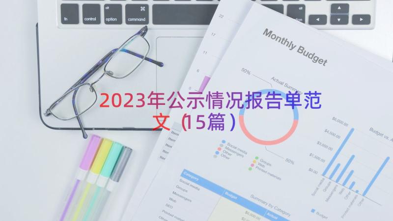 2023年公示情况报告单范文（15篇）