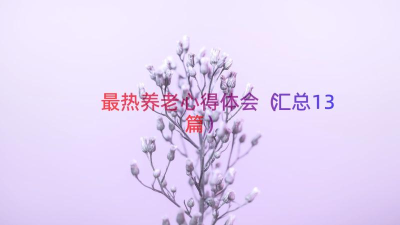 最热养老心得体会（汇总13篇）